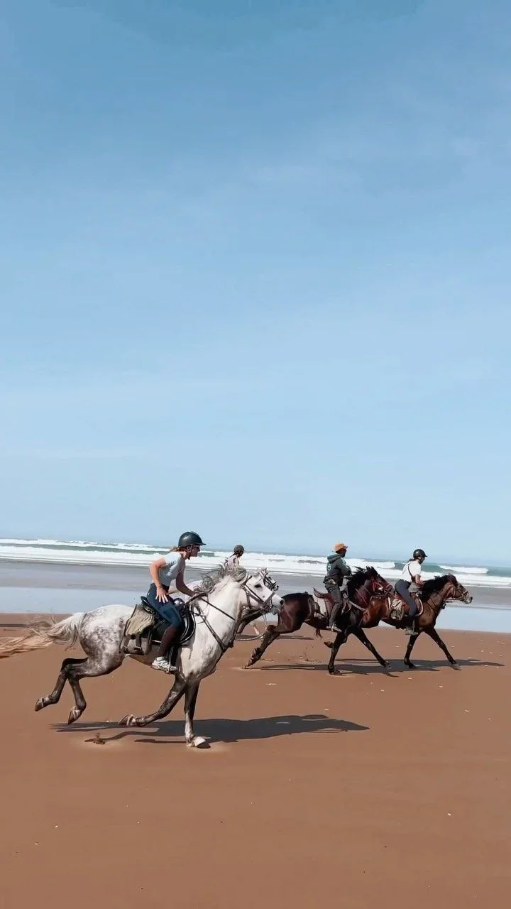 Balade à cheval sur la plage d'Essaouira