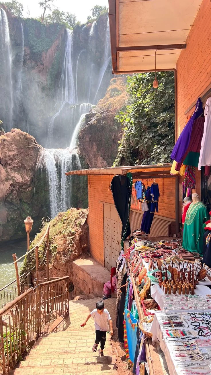 Singe magot sauvage face aux cascades d'Ouzoud